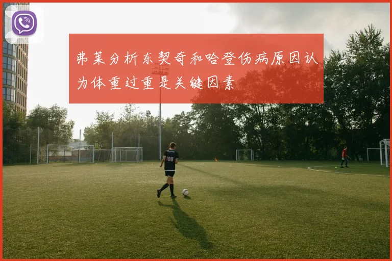 弗莱分析东契奇和哈登伤病原因认为体重过重是关键因素
