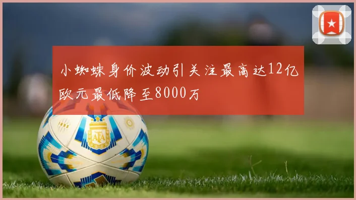 小蜘蛛身价波动引关注最高达12亿欧元最低降至8000万