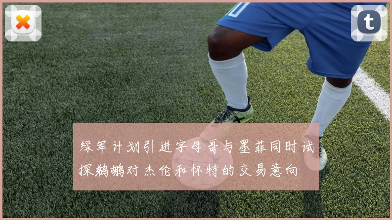 绿军计划引进字母哥与墨菲同时试探鹈鹕对杰伦和怀特的交易意向